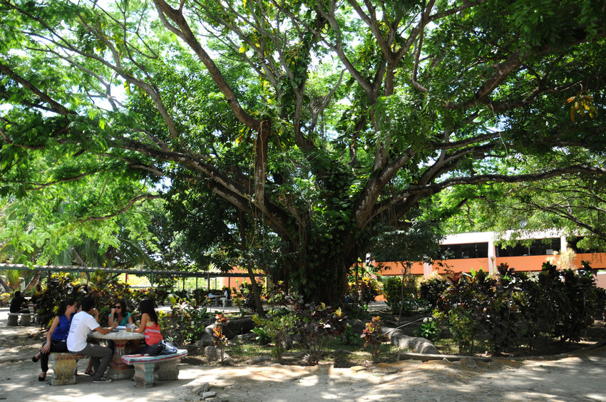 Sede de Guanacaste, Liberia