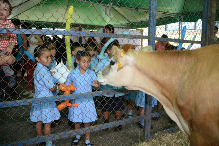 Niños Rincón Grande Pavas