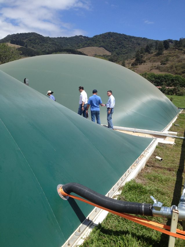 Biodigestor Porcina Americana