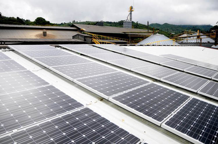 Paneles solares en Coopetarrazú