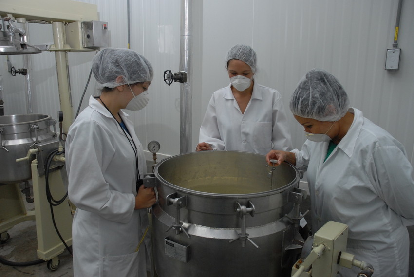 Cita investigadores