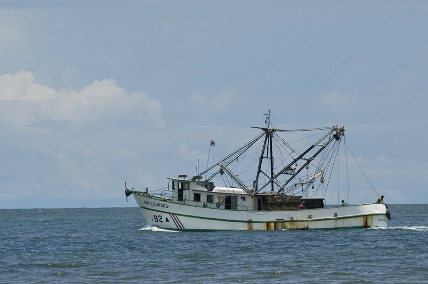 Pesca de atún