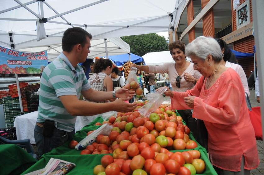 Seguridad alimentaria