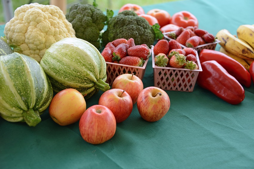 Productos Tradicionales Nutrición
