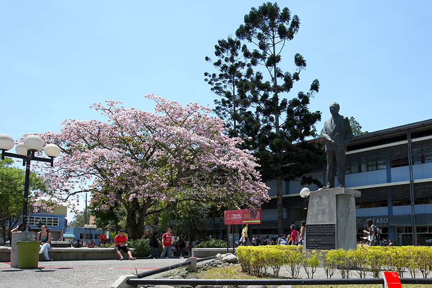 Sede Rodrigo Facio