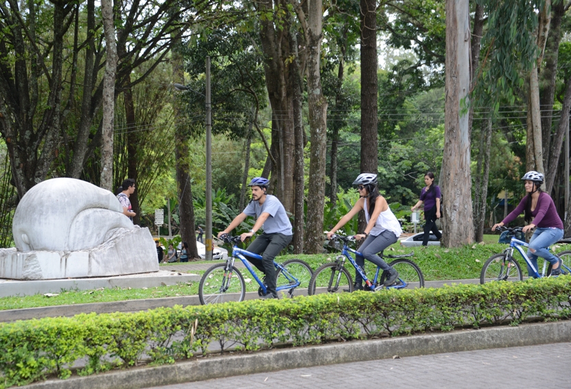 bicicletas fotógrafos ODI