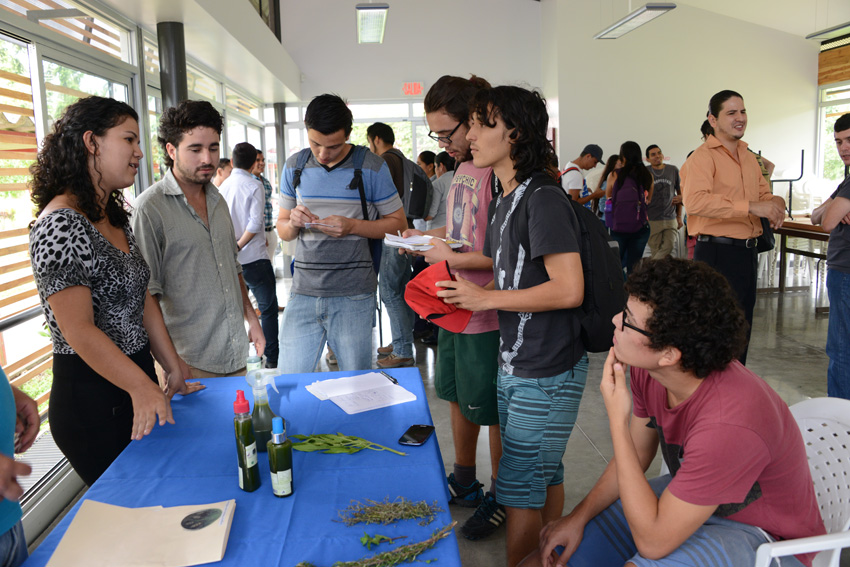 exposición productos organicos 1