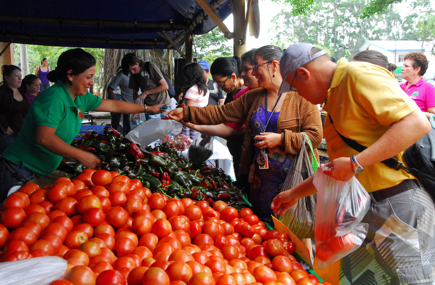 Alimentos ceniza volcÃ¡nica