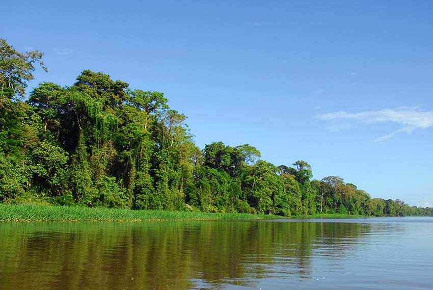 Tortuguero