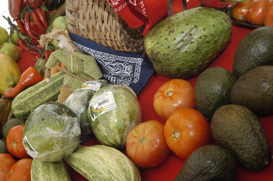 vegetales