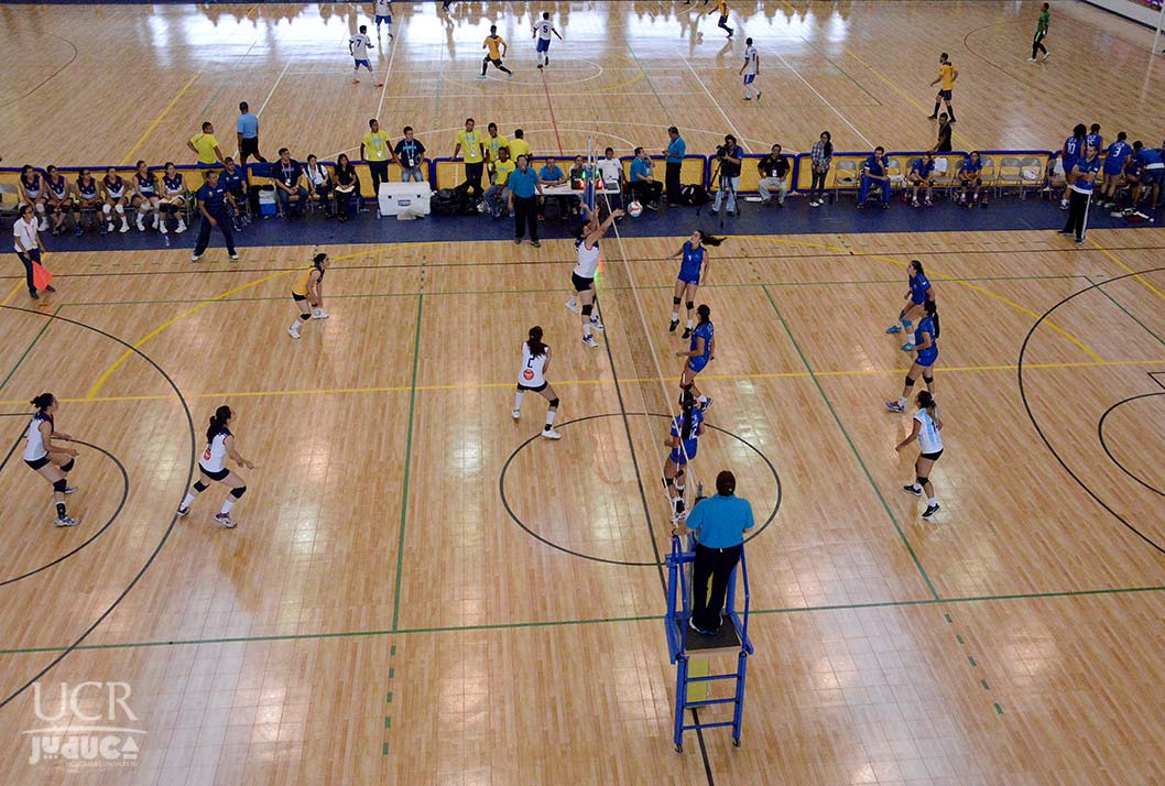 Voleibol femenino