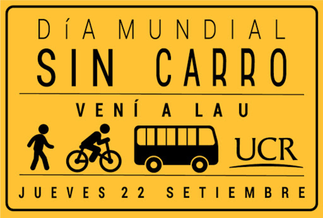 dia sin carro
