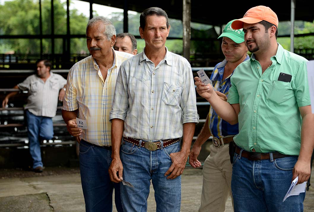 ganaderos