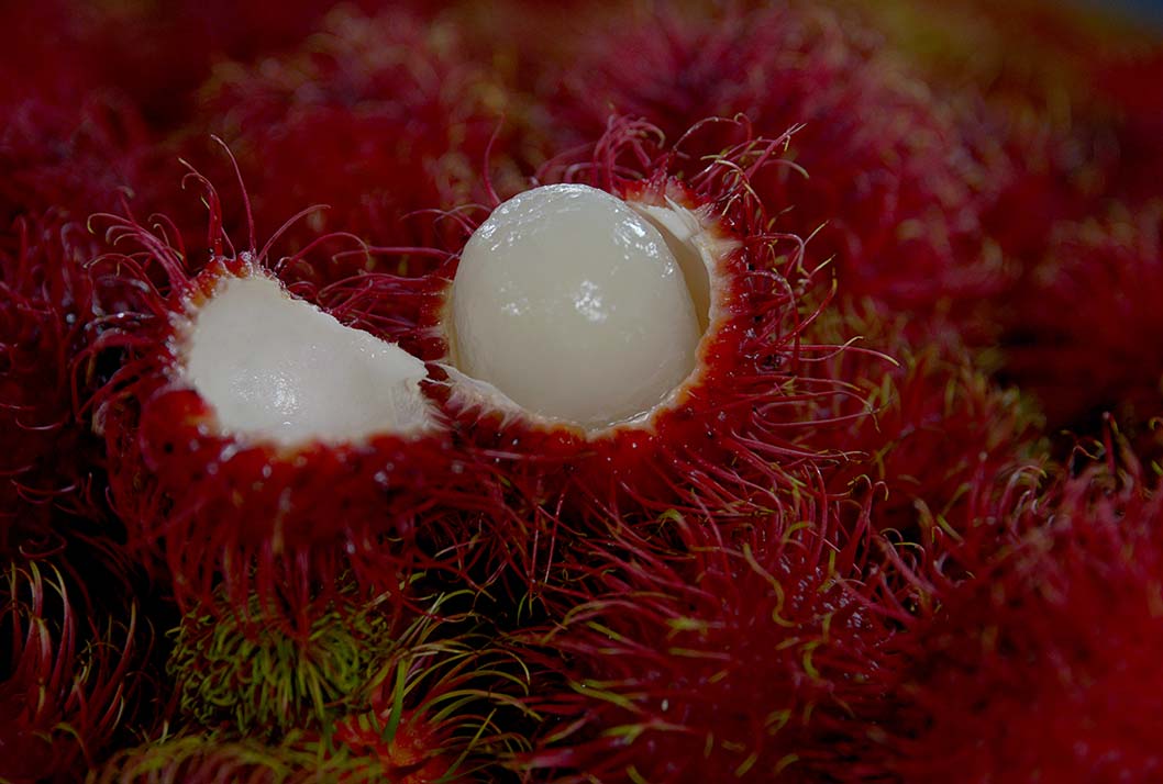 rambután