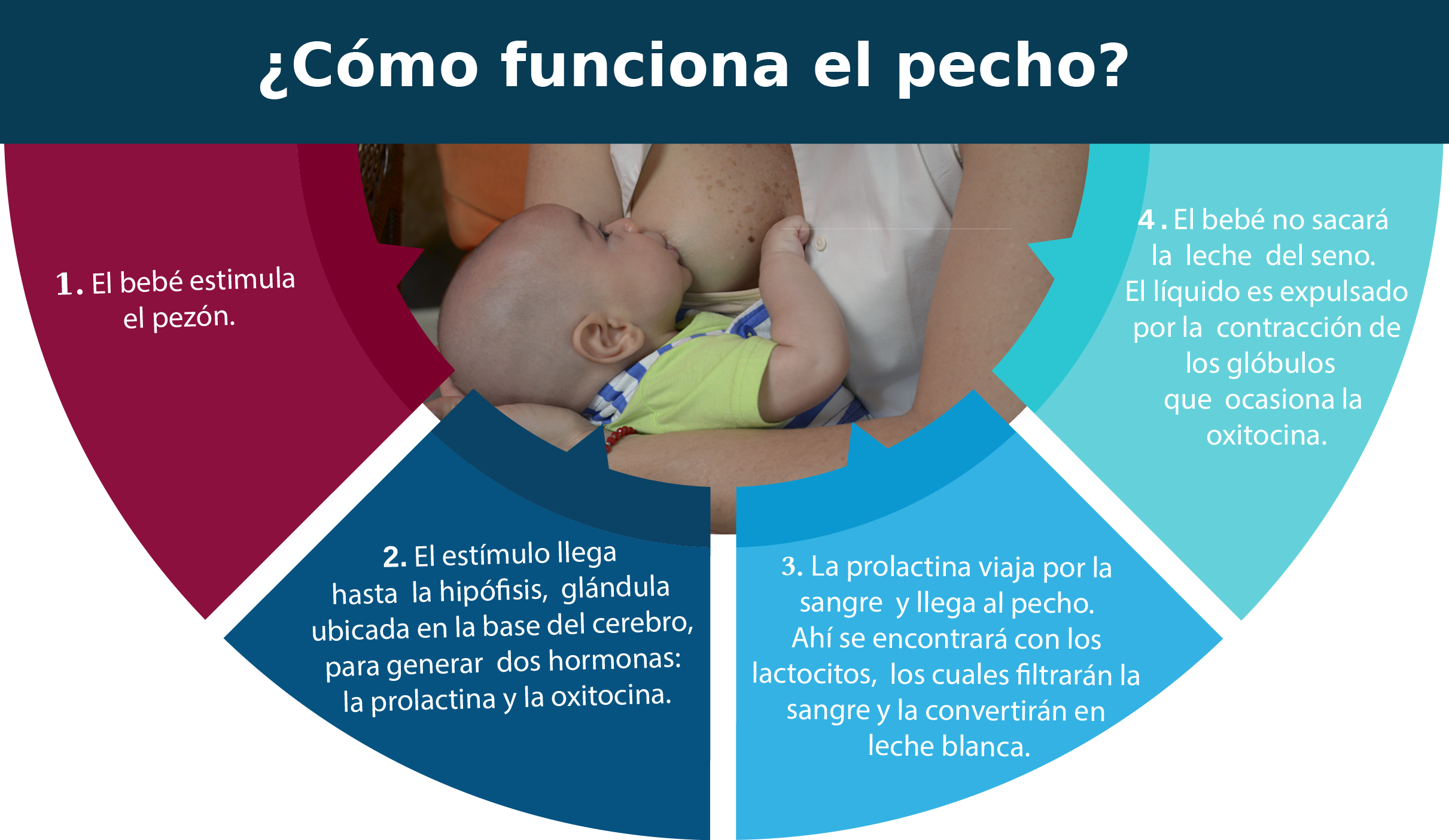 Chupete, ¿sí o no? Claves de uso, beneficios y riesgos en recién nacidos y  bebés, según la ciencia