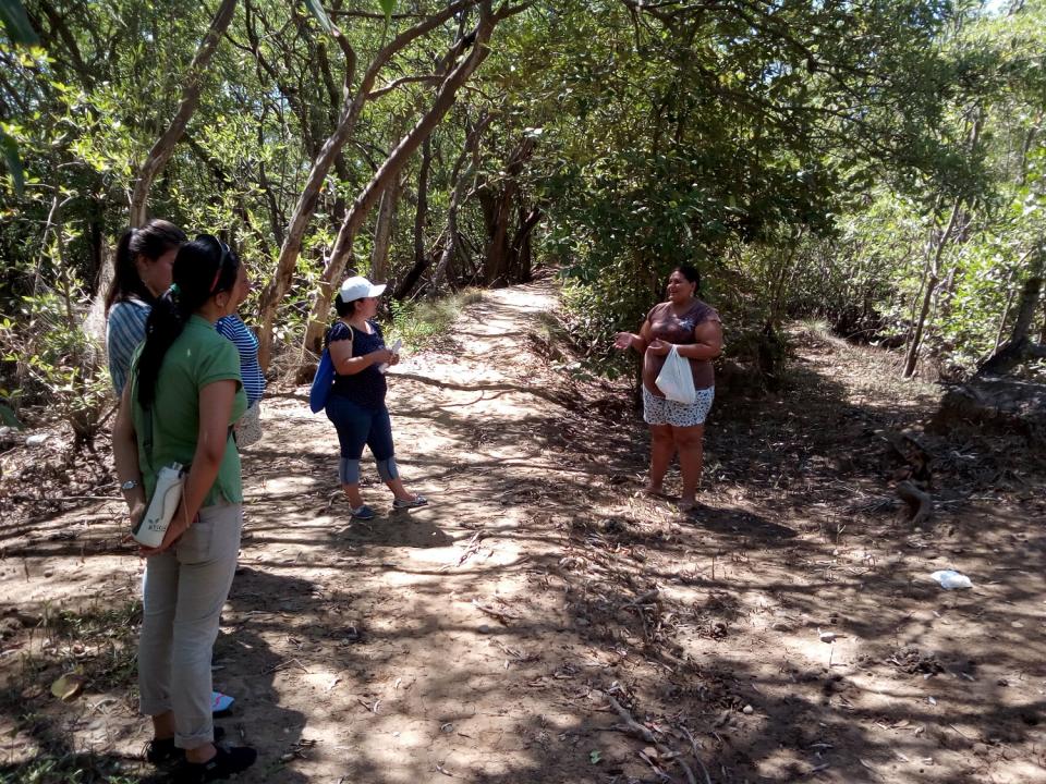 Grupo de mujeres conversan en un camino rodeado de árboles