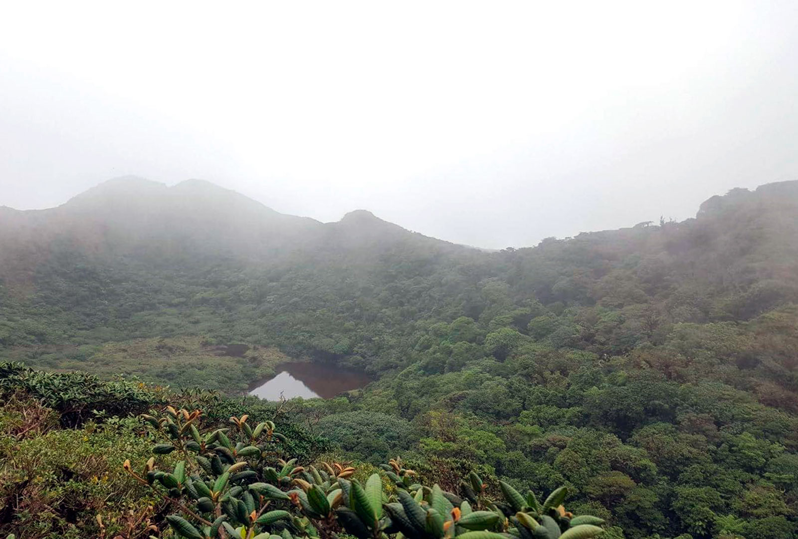 Volcán Tenorio