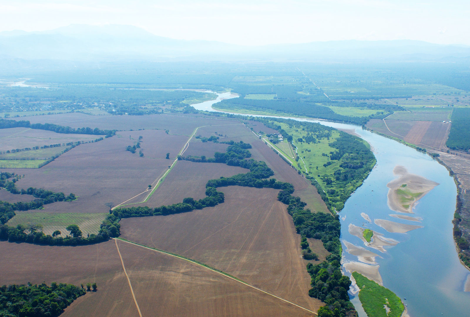 Vista aérea del humedal Térraba Sierpe con grandes áreas de plantaciones de arroz