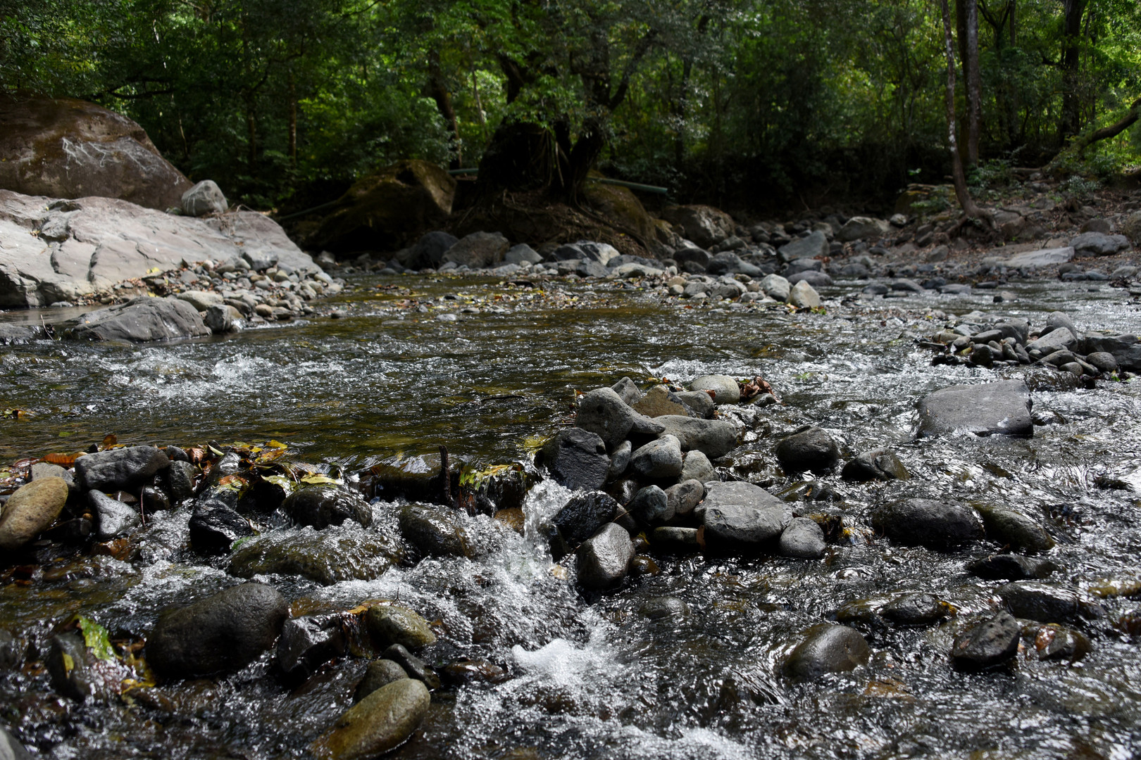 Agua Asadas ProDUS UCR