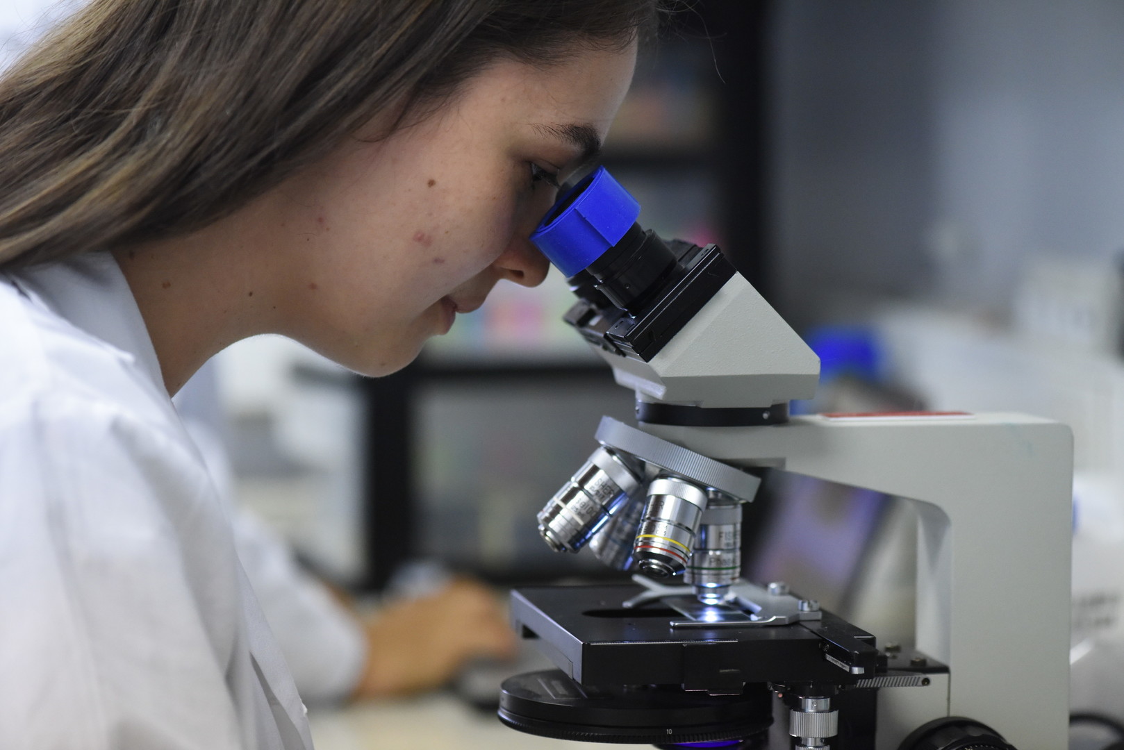 Ing Química Sede Caribe UCR