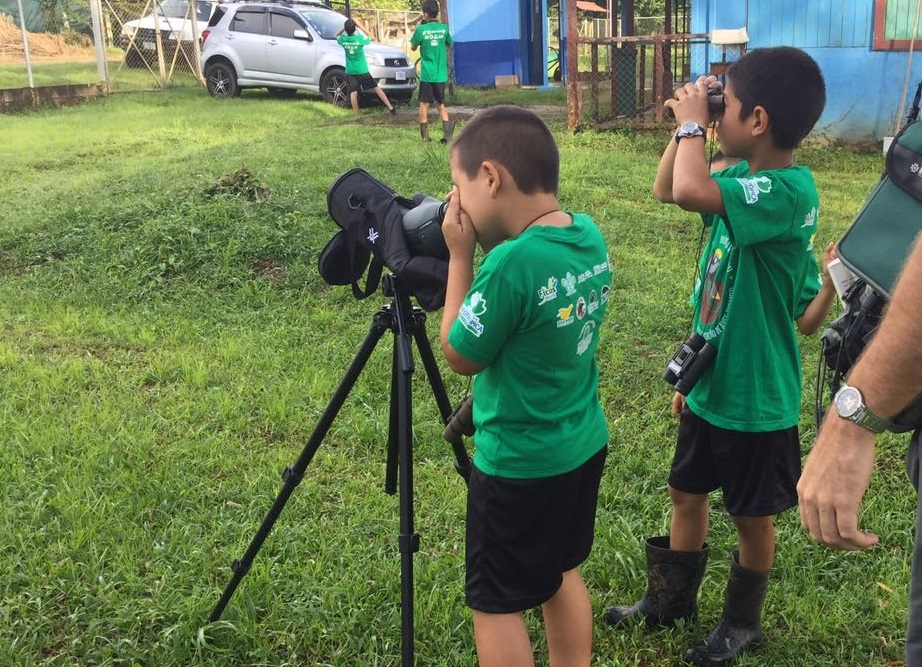 Niños viendo aves