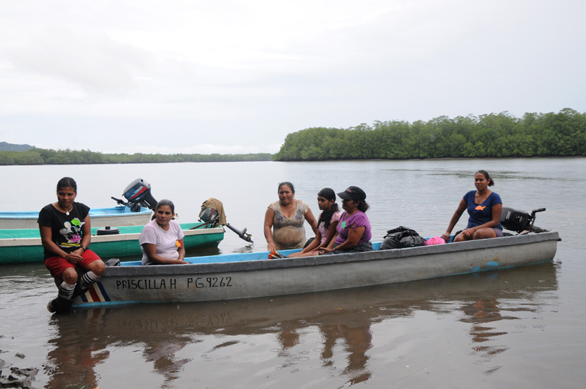 Grupo de mujeres piangüeras en el Humedal Térraba-Sierpe