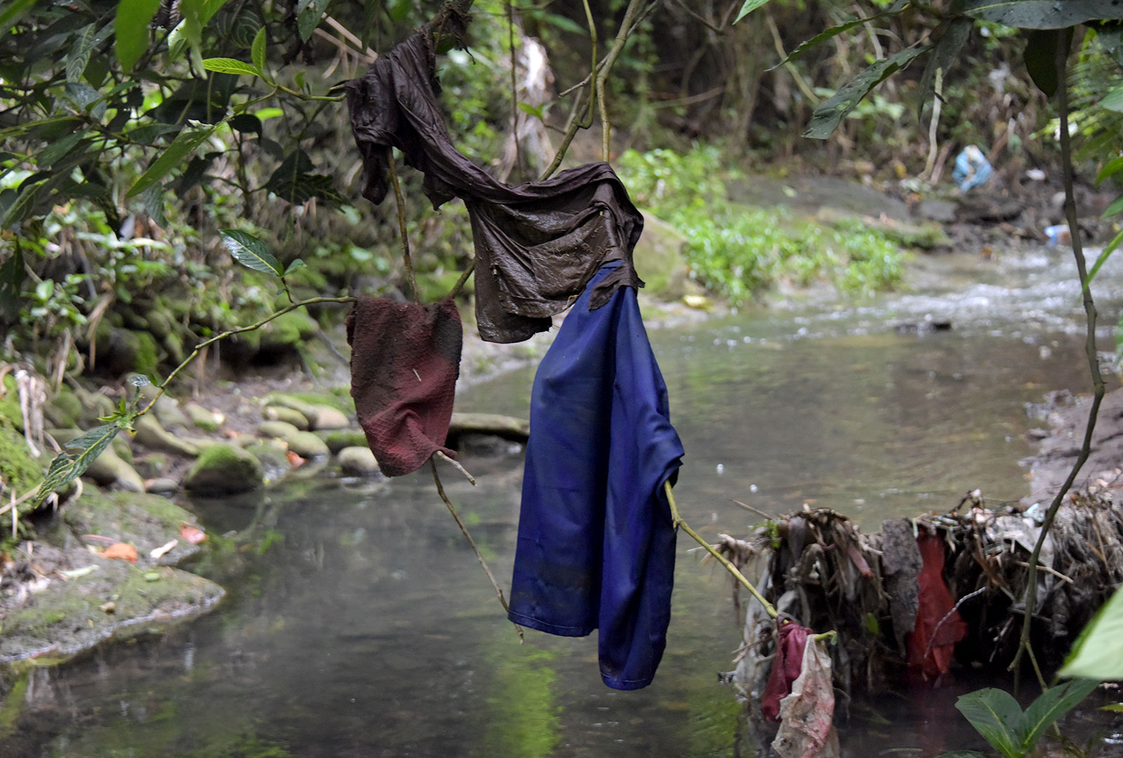 Cada vez que usted lava su ropa, contamina los mares con plástico