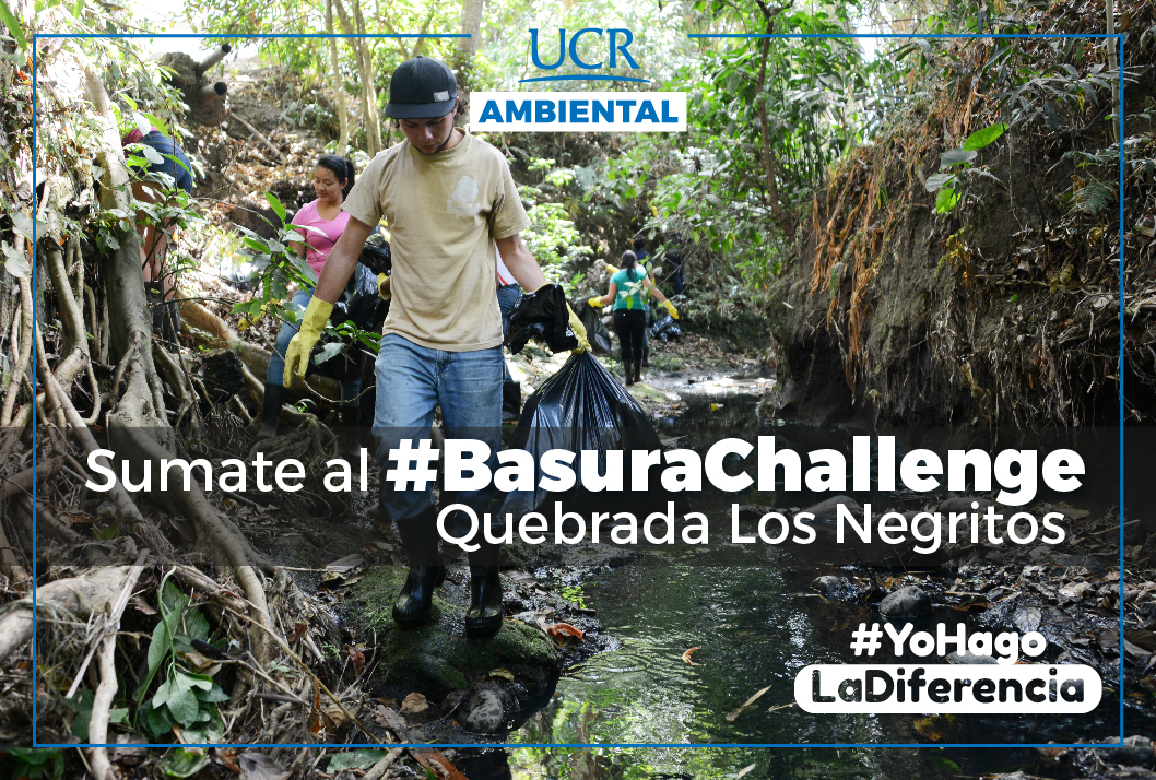 Basurachallenge