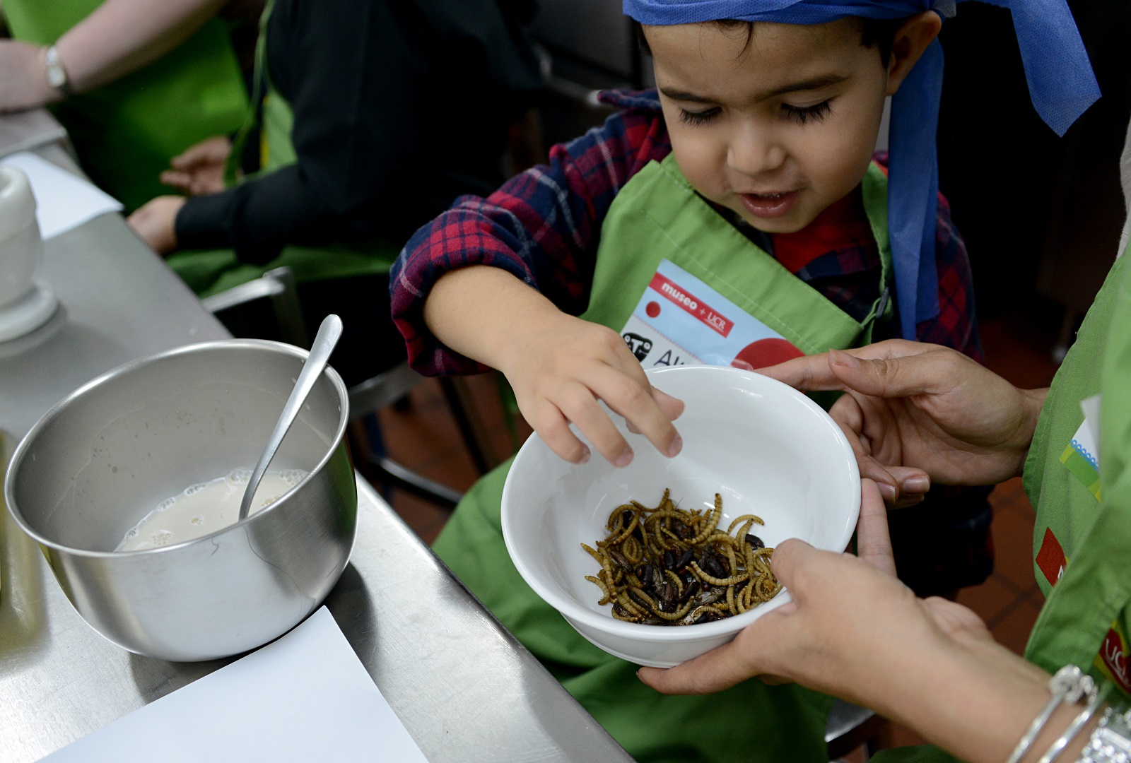 Niño preparando insectos