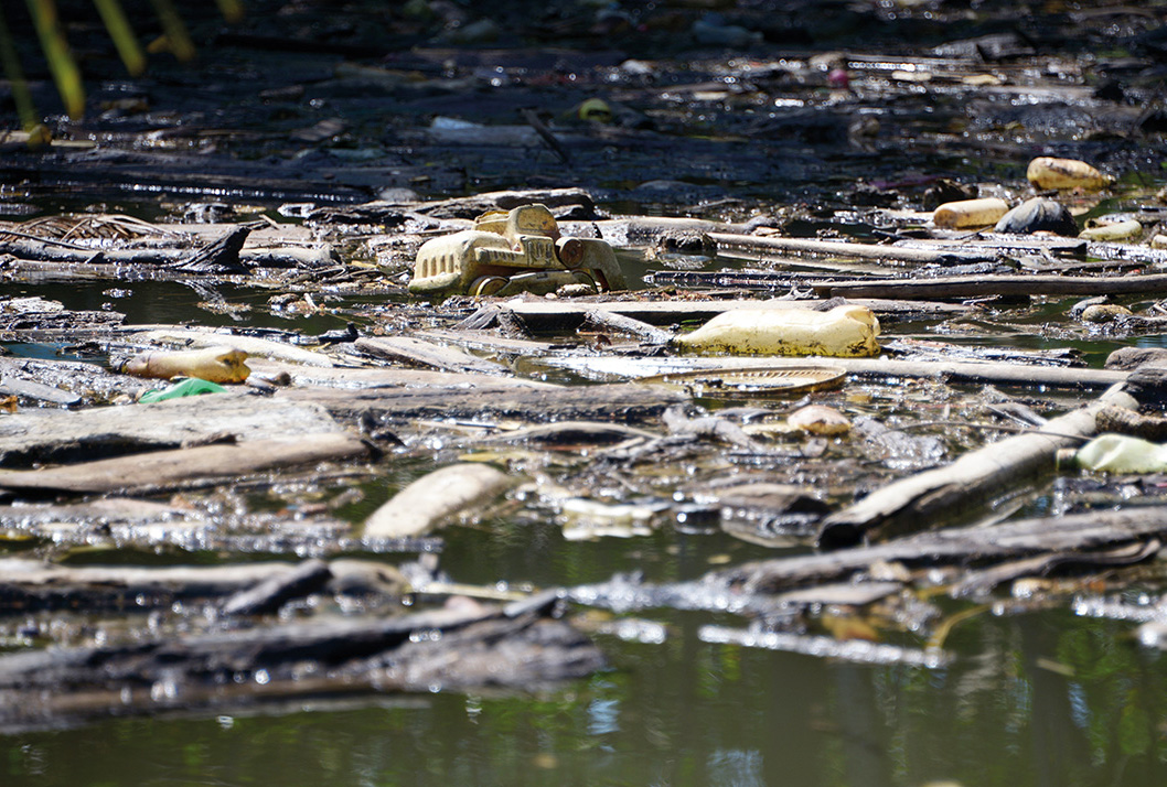 Humedal Artificial Una Propuesta Para El Manejo De Aguas Residuales