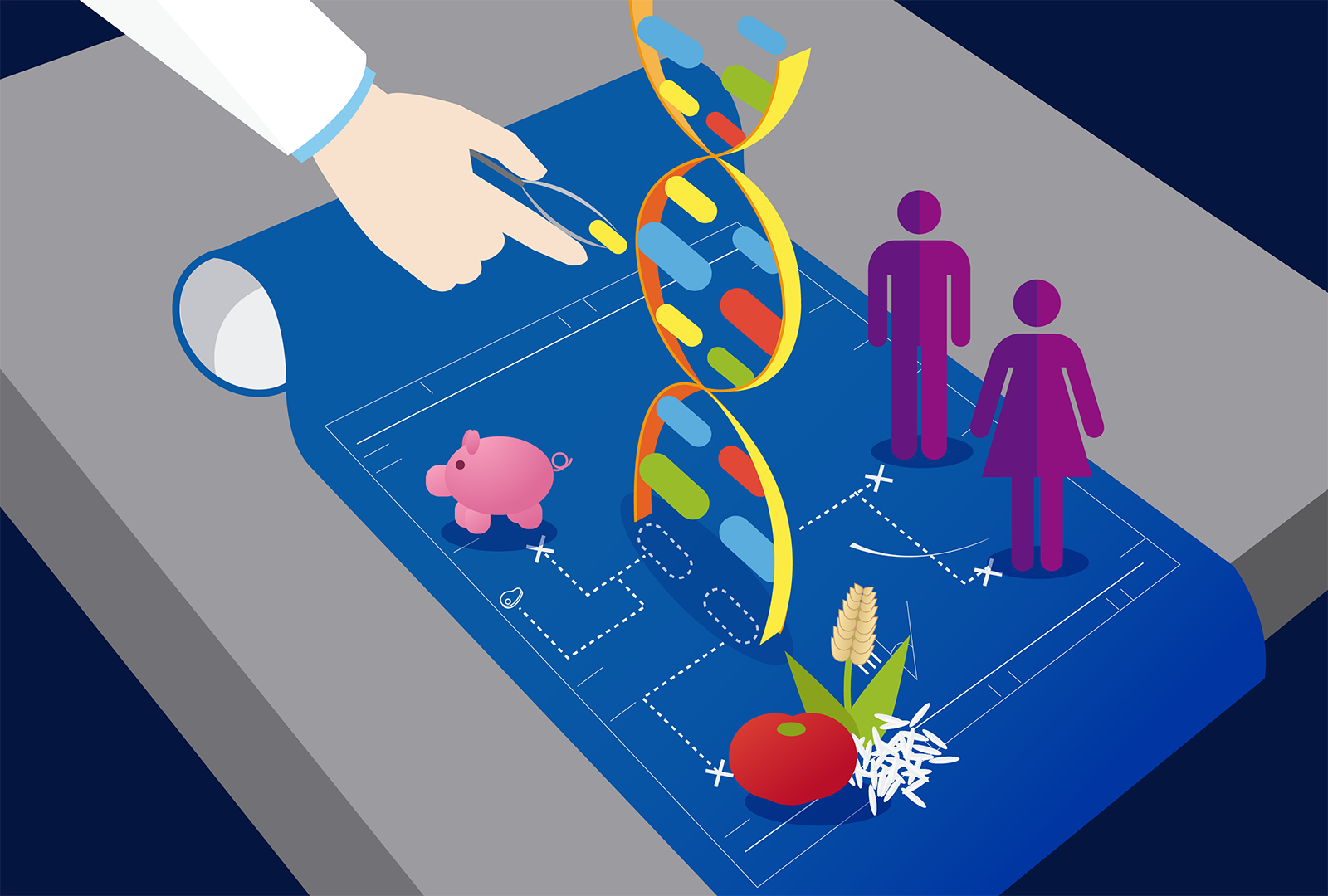 Ingenieria Genetica En La Sociedad Ventajas Y Desventajas