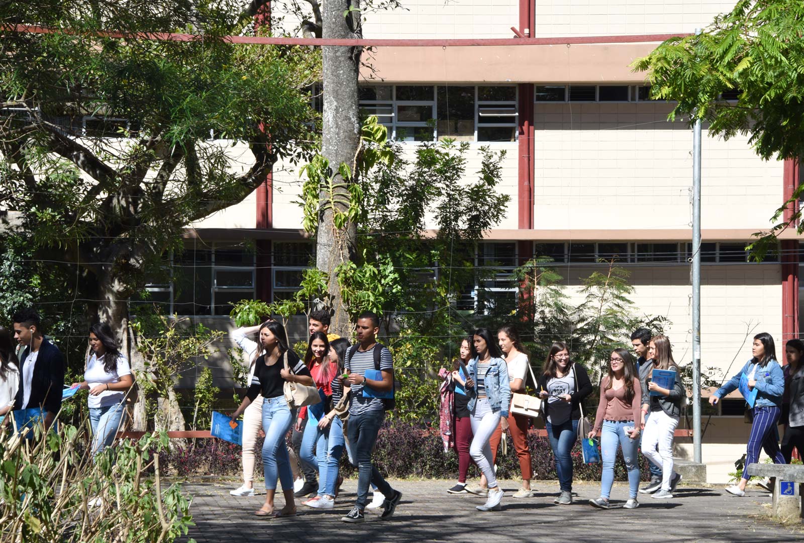 Estudiantes en el campus