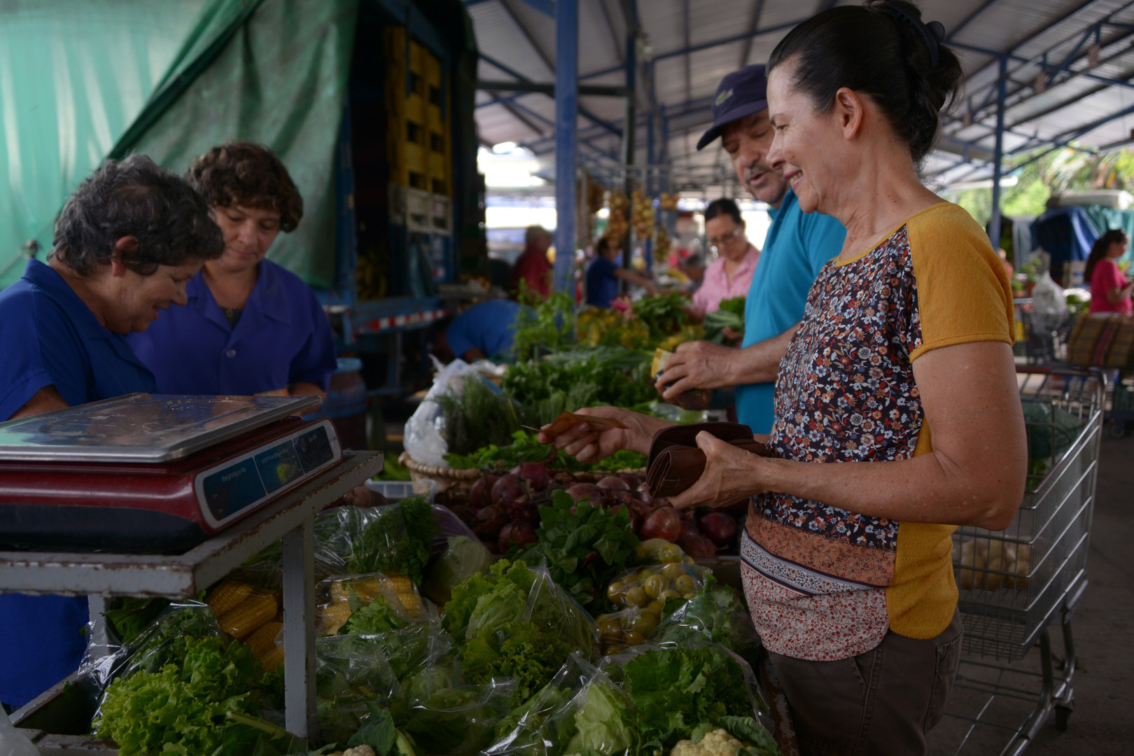 Feria del agricultor