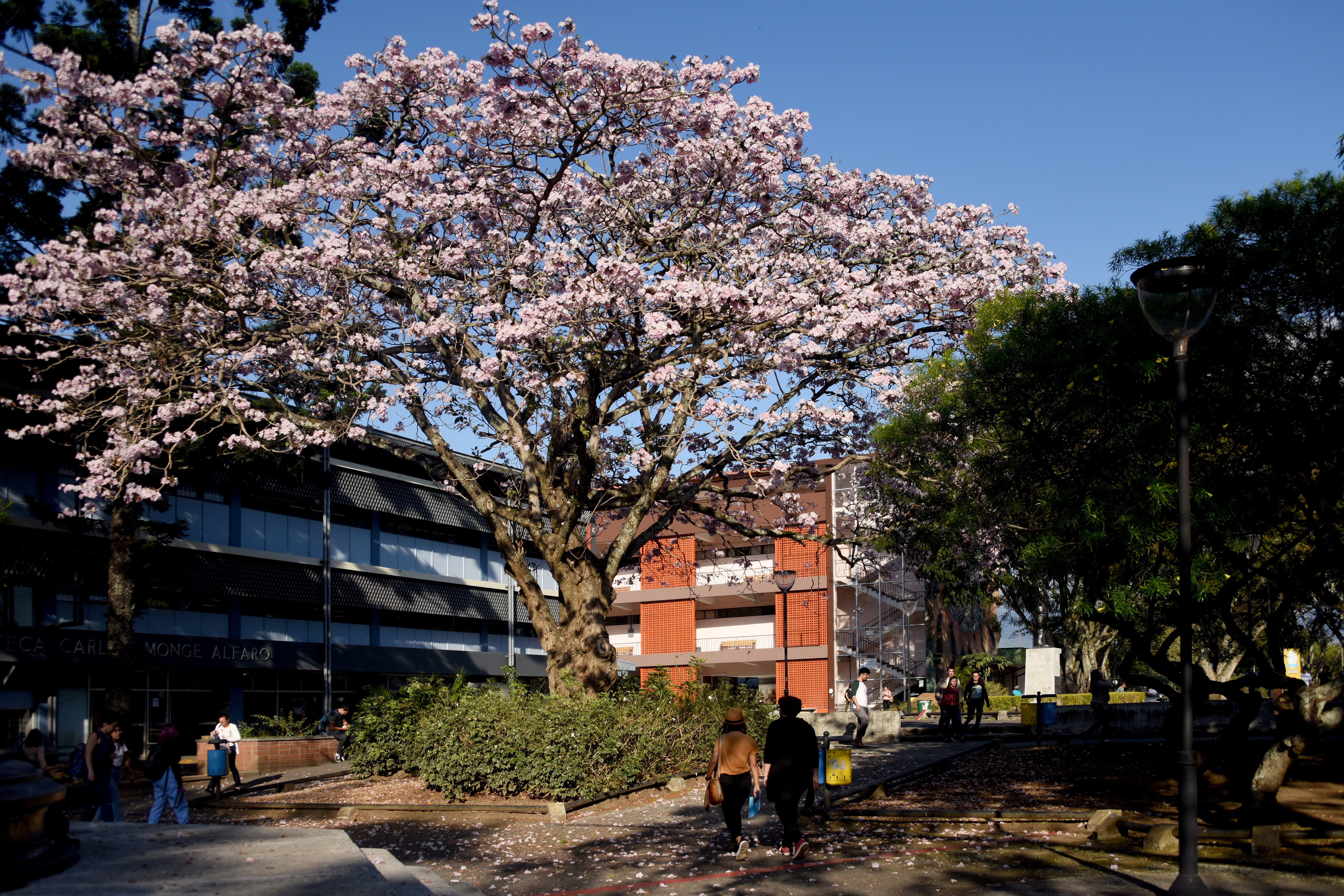 Campus