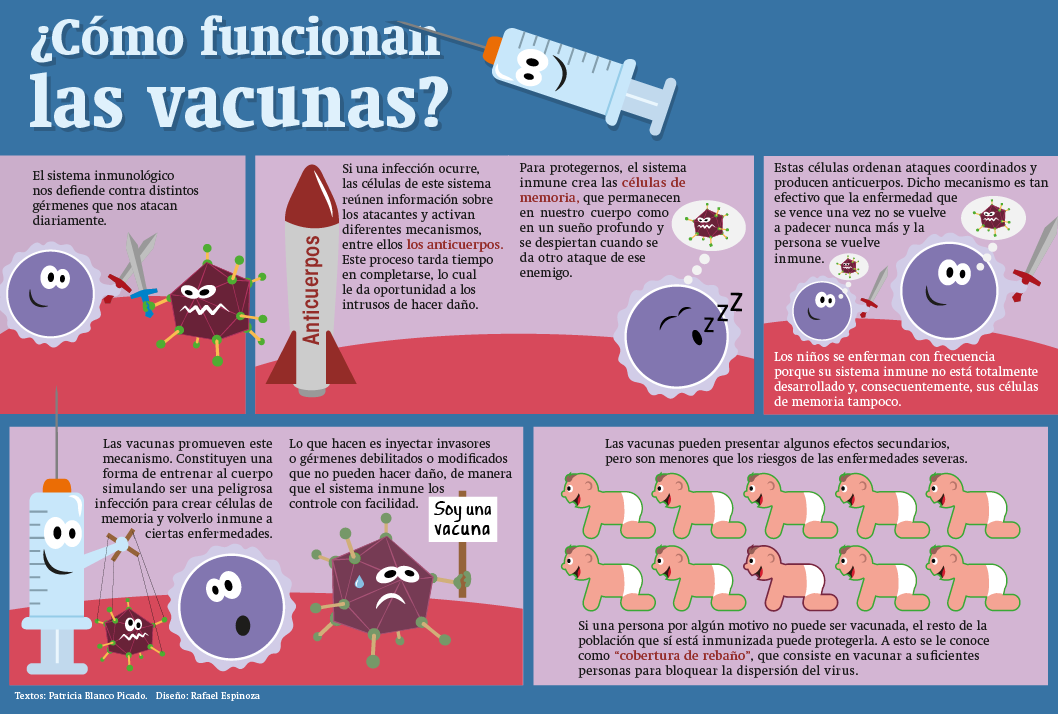 Son igual las tiras para medir la. glucosa que la cetosis