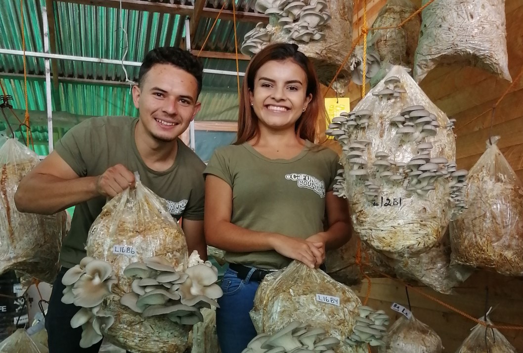 Jóvenes agricultores