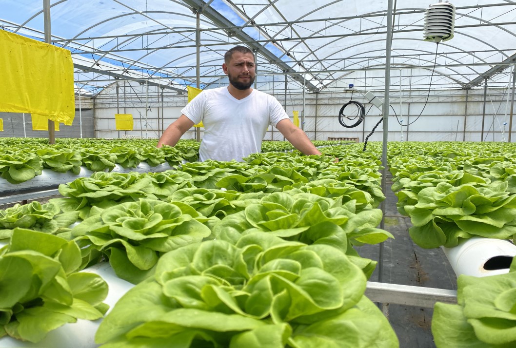 Jacobo, agricultor