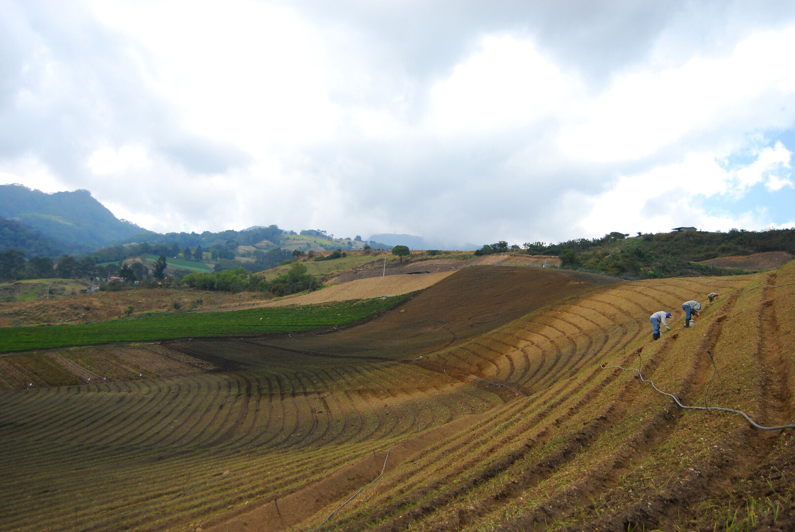 Finca agrícola