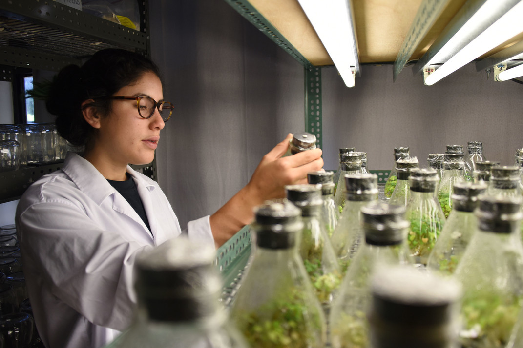 Laboratorio de biotecnología