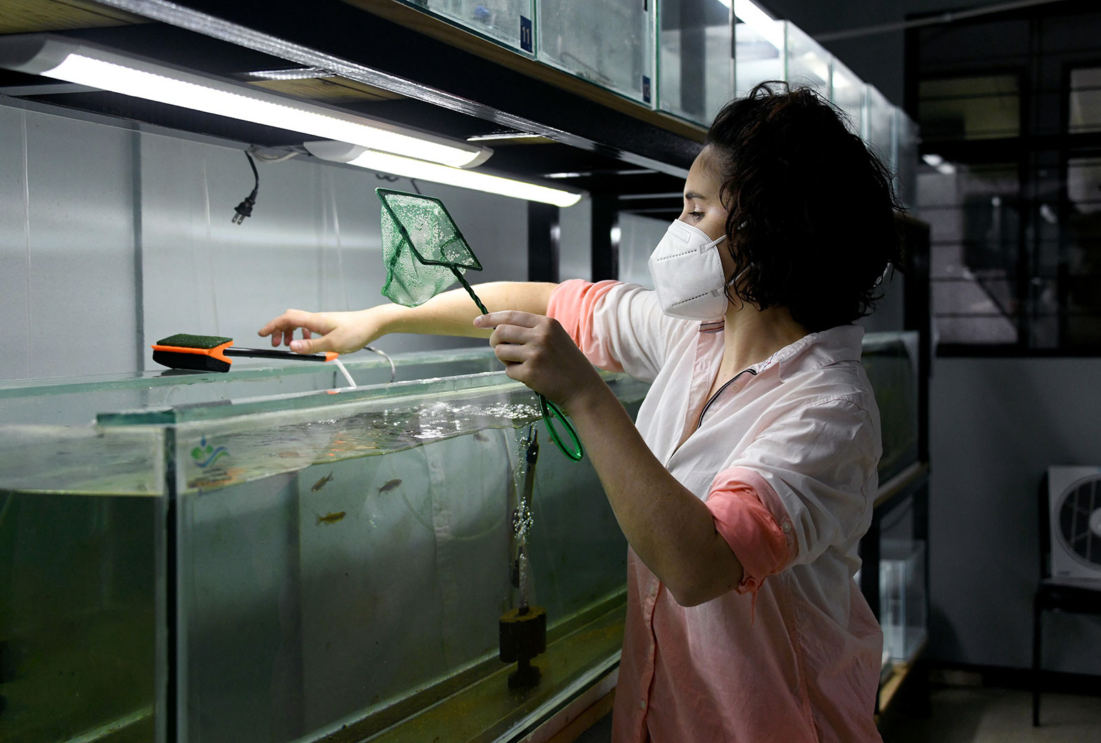 Científica alistando un acuario