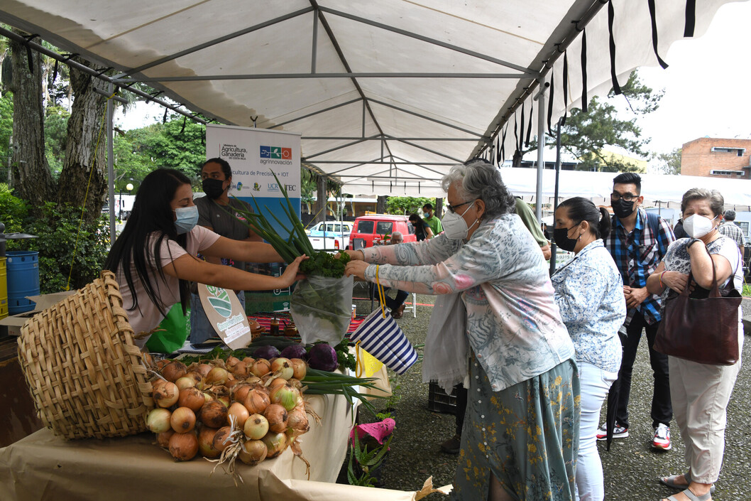 Compras y consumo