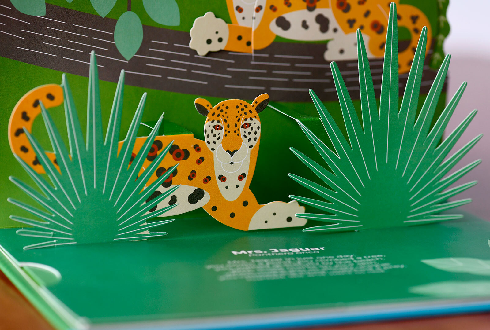 Ilustración interna del libro donde se aprecia un jaguar entre la vegetación en relieve junto a …