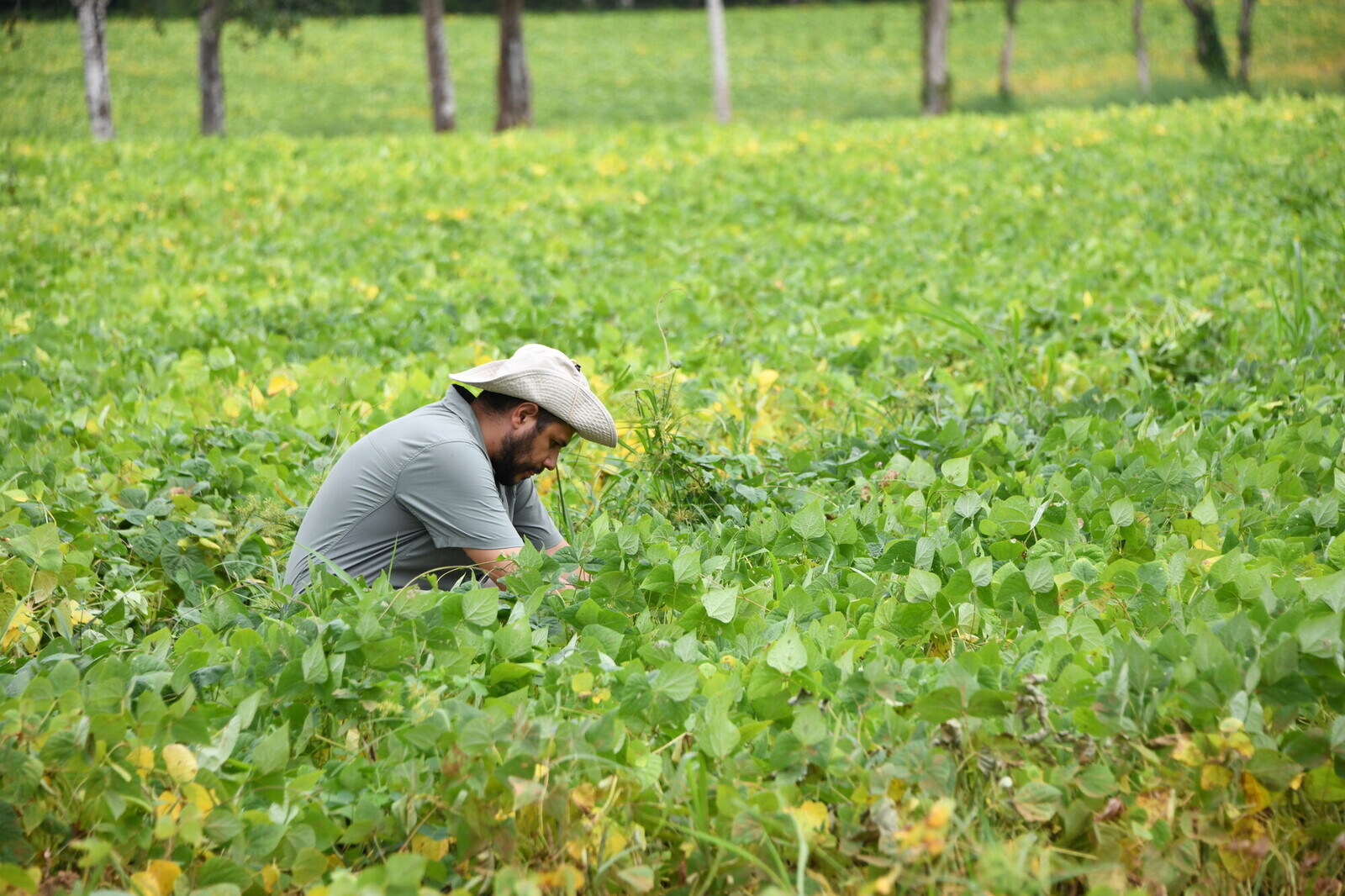 Persona trabajando en el campo