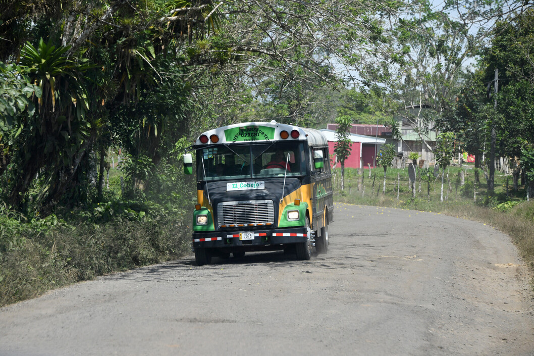 Camino rural