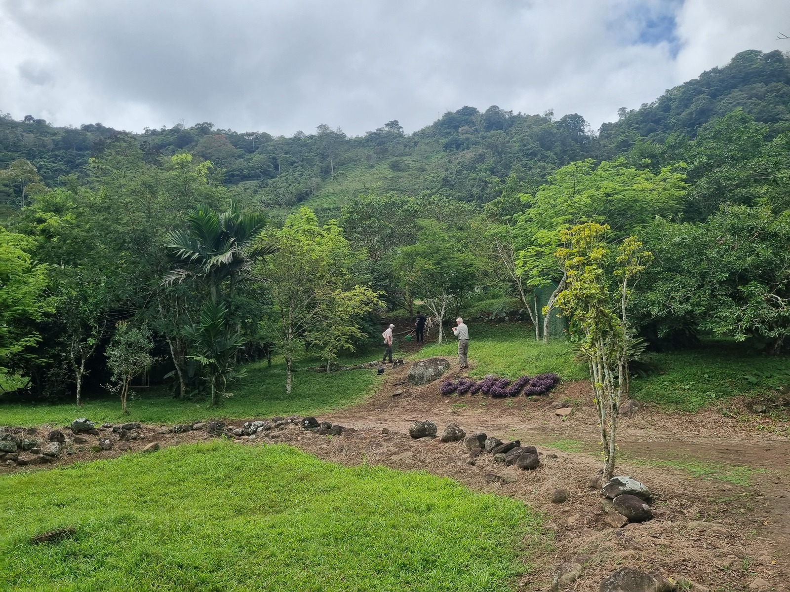 Visita de los investigadores al sitio arqueológico Rosa María