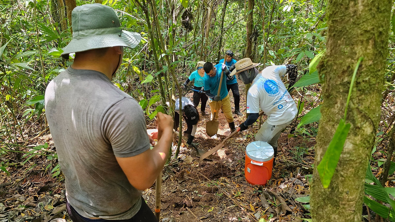 Cinco jóvenes estudiantes limpian con palas un sendero que lleva al Parque Nacional Corcovado. …