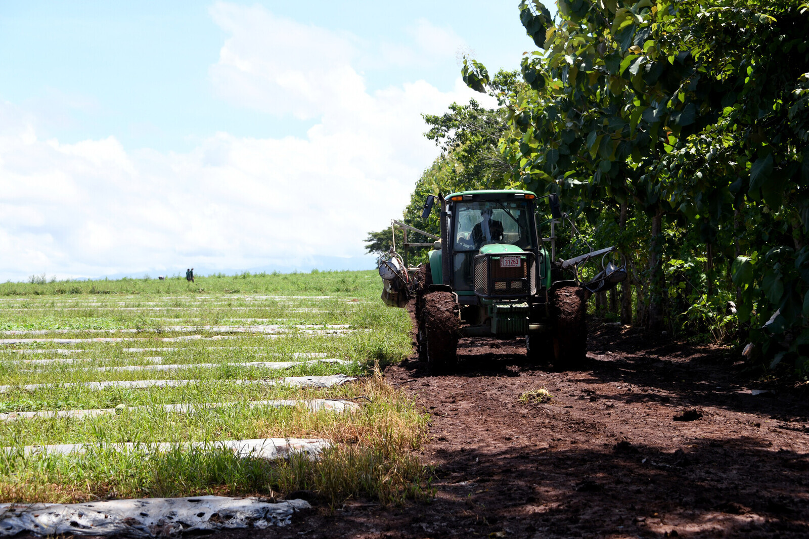 Imagen de un campo agrícola