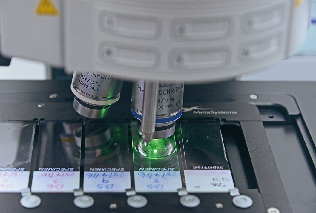 Dosimetría biológica