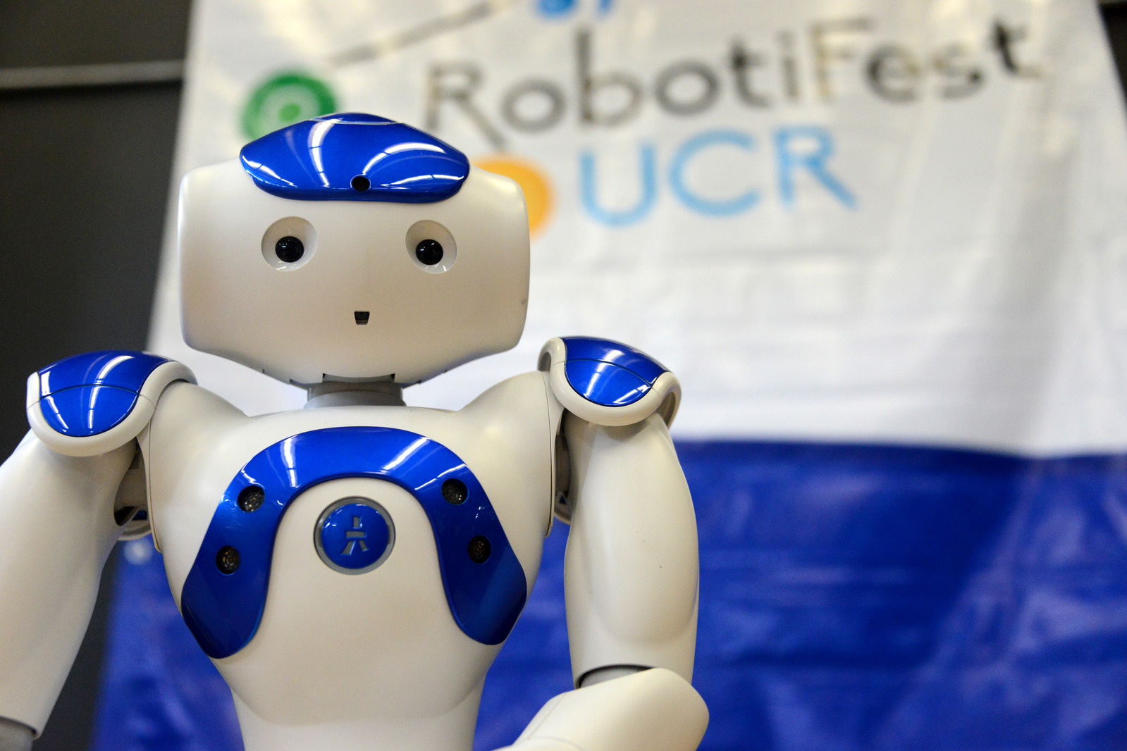 robotifest 2025 