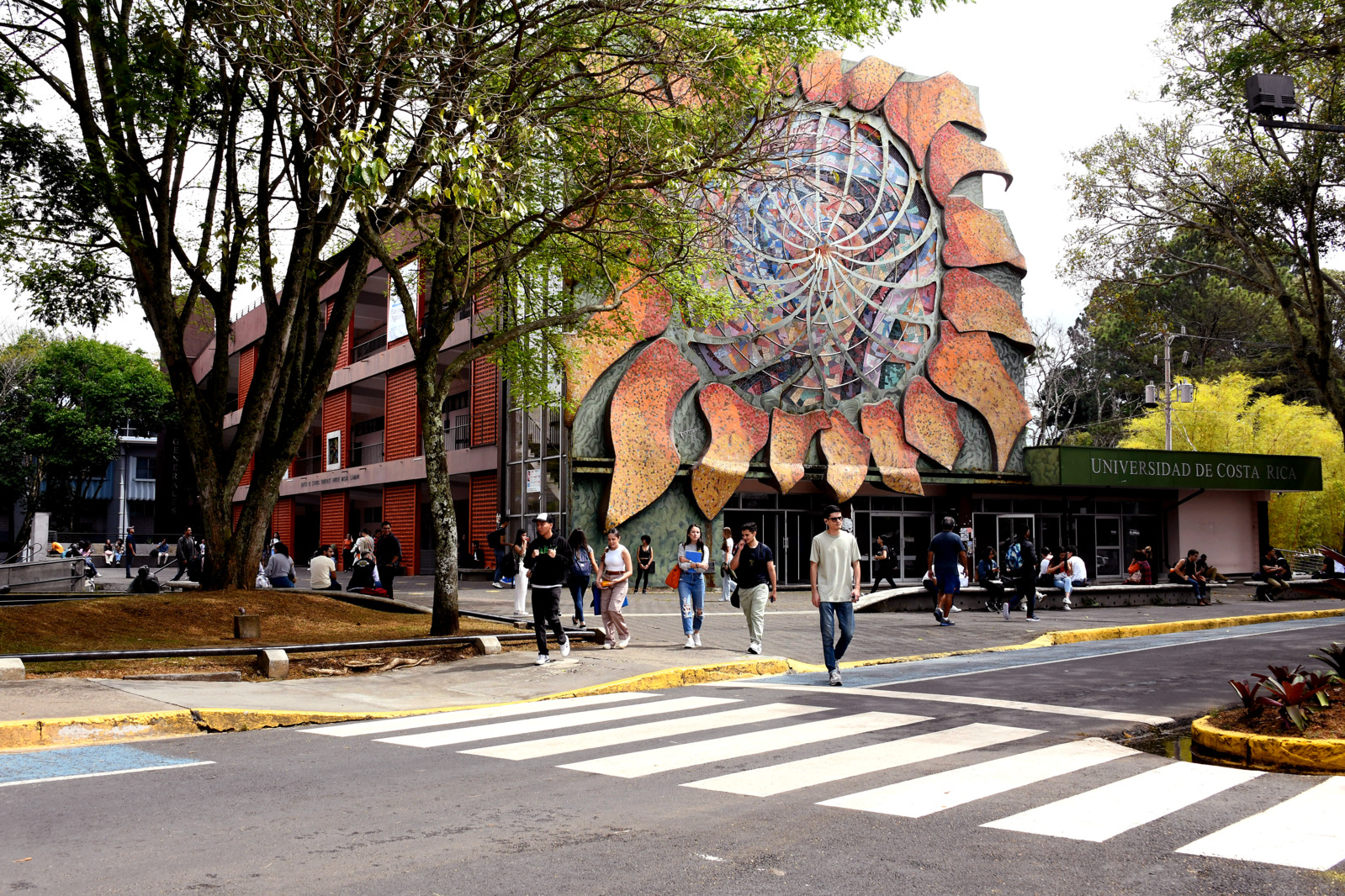 Para más información sobre el proceso de solicitud de beca socioeconómica puede ingresar a https://becas.ucr.ac.cr/. Foto: Archivo OCI. solicitud de beca socioeconómica vía web